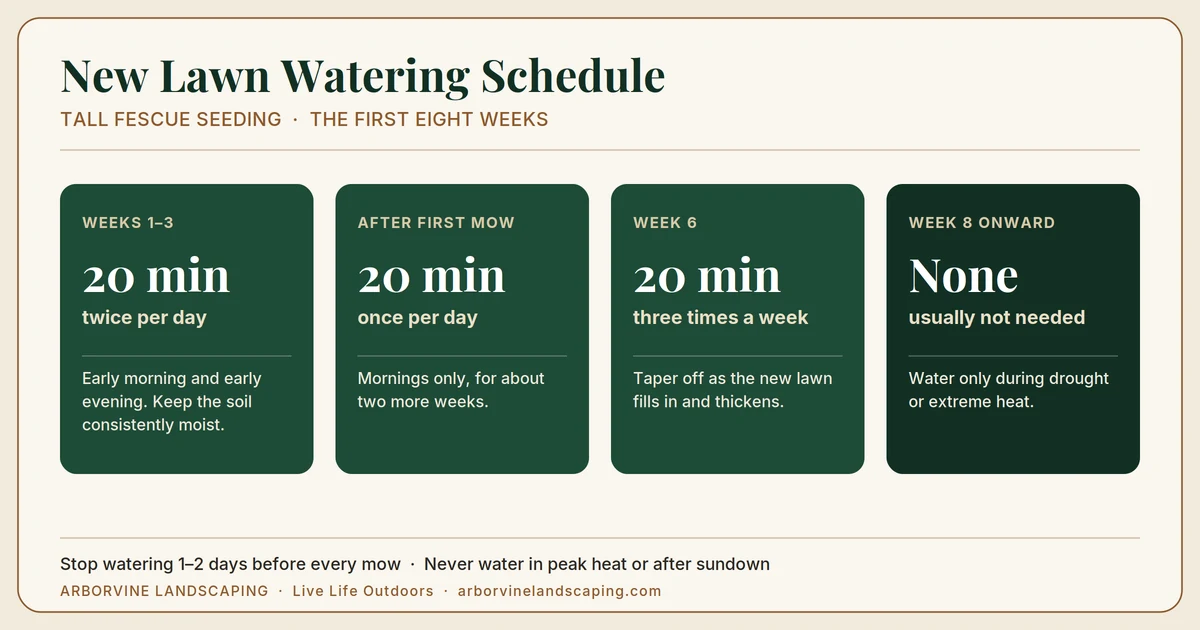 New lawn watering schedule for the first eight weeks after seeding