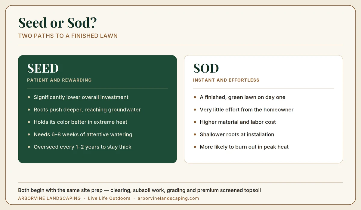 Comparison of seeding versus sodding a new lawn